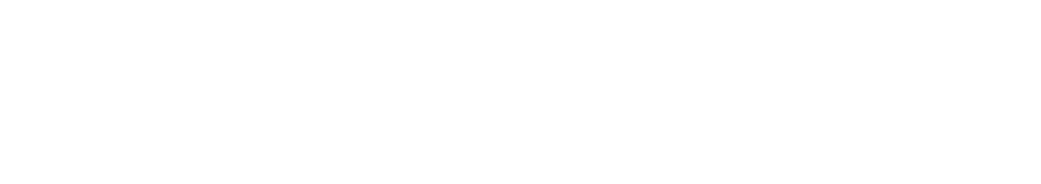 Wedding Seeker